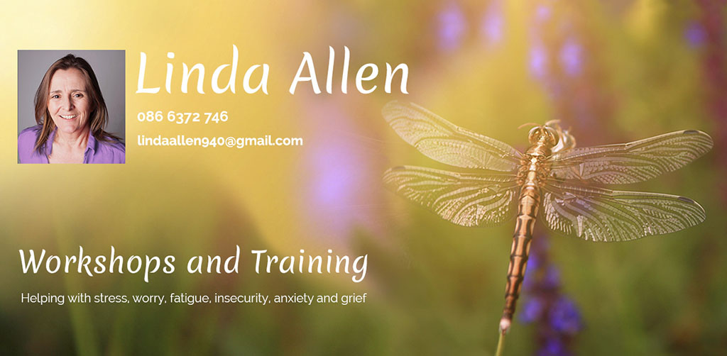 Linda Allen, Workshops